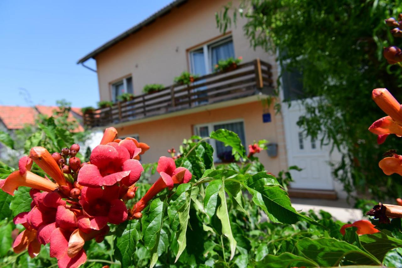 Apartman Dorijan Rakovica Esterno foto