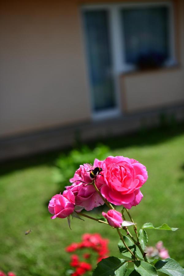 Apartman Dorijan Rakovica Esterno foto